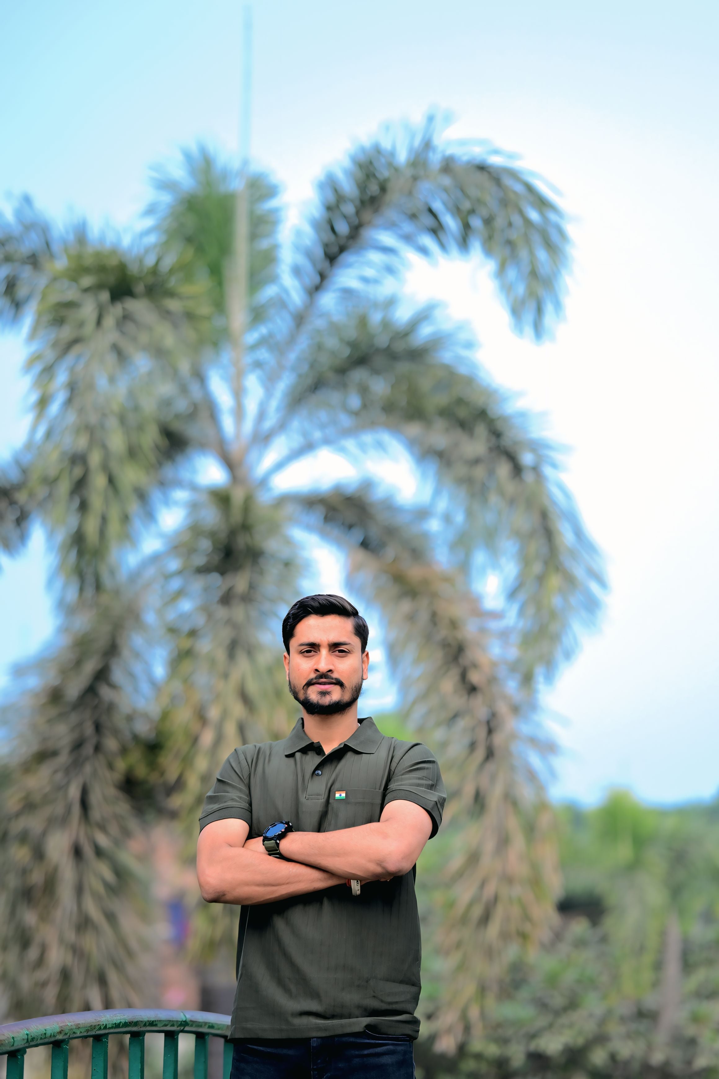 Premium Olive Half Sleeve Polo T-Shirt